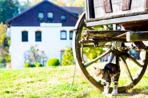 Ferienwohnung im Erzgebirge Grünhain-Beierfeld
